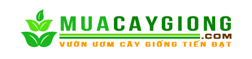 Publisher